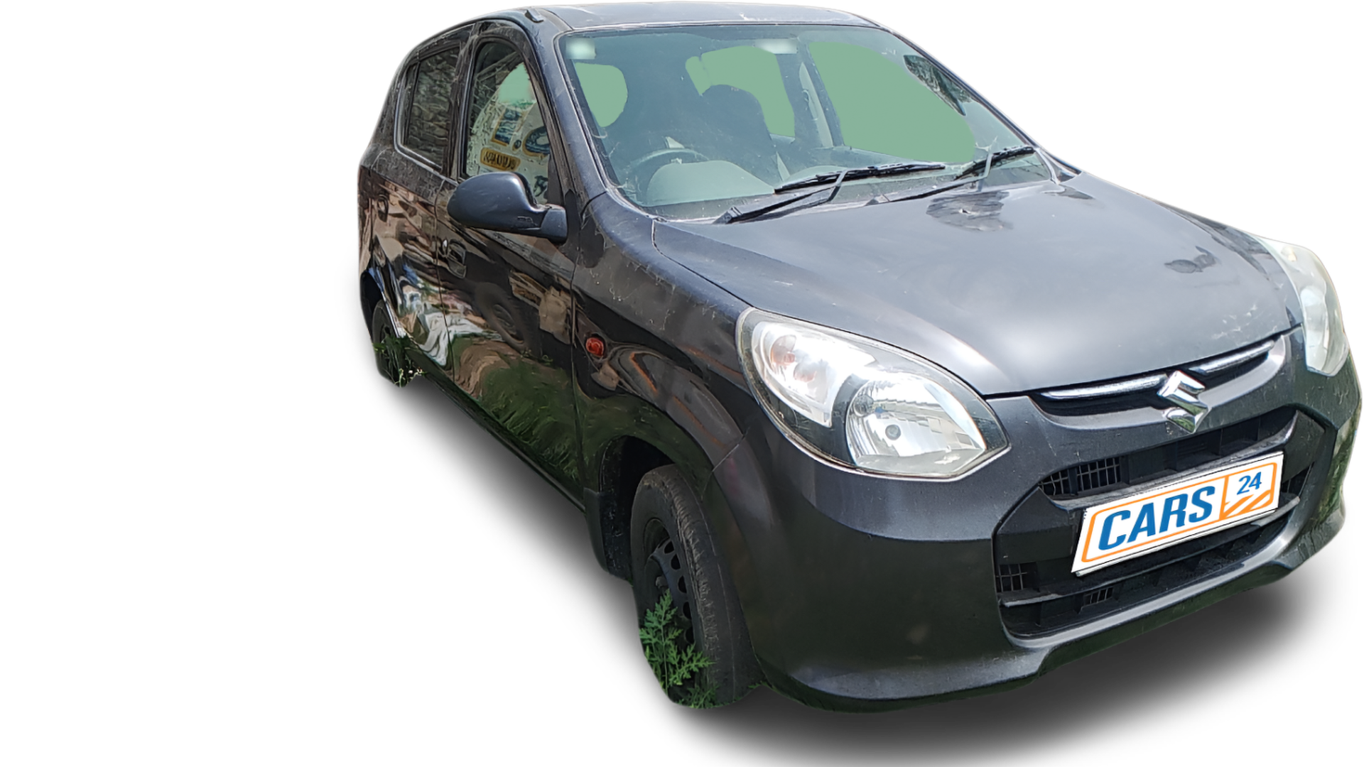 Maruti Alto 800-img